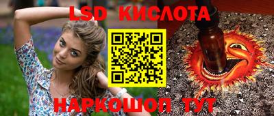 PSILOCYBIN Новокубанск