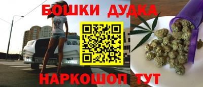 PSILOCYBIN Новокубанск