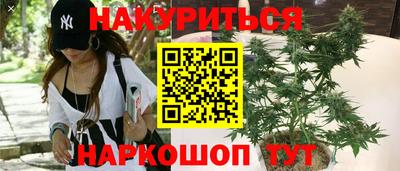 каннабис Новозыбков