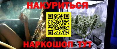 PSILOCYBIN Новокубанск