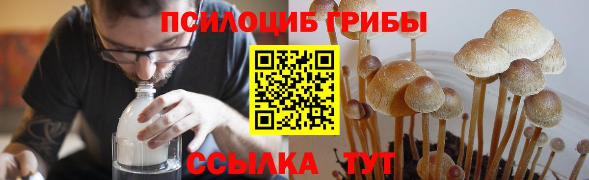Галлюциногенные грибы Magic Shrooms  Вход с VPN  Старая Купавна 